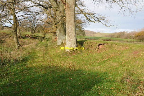 Photo 6"x4" Old field track New Inn\/SO4800 c2011