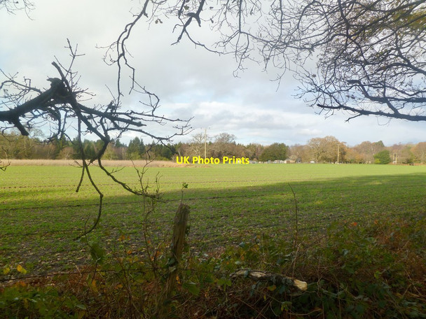 Photo 6"x4" North Ripley, arable land North Ripley c2011