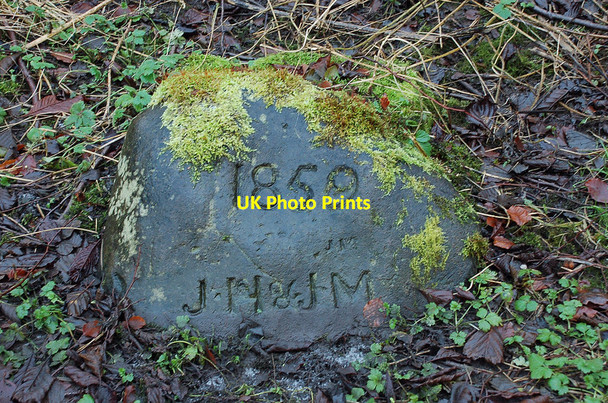 Photo 6"x4" Carved stone, Roslin Glen Auchendinny c2011