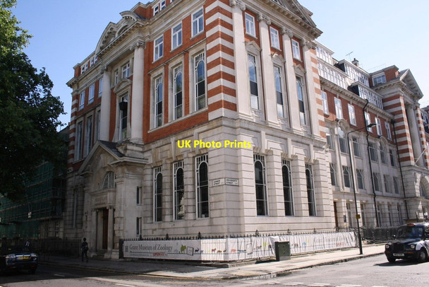 Photo 6"x4" Grant Museum of Zoology, Gower Street London c2011