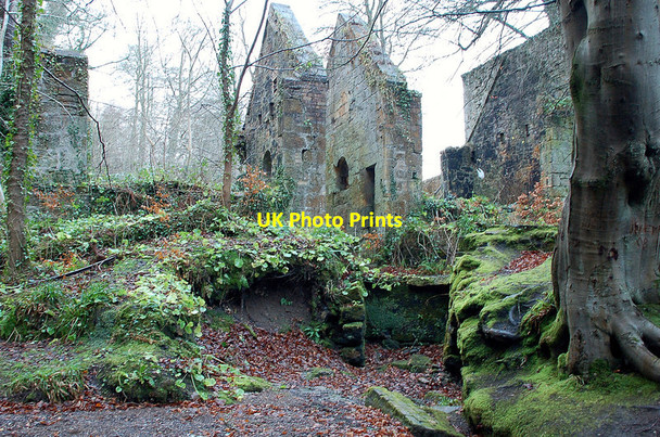 Photo 6"x4" Remains of the gunpowder mills, Roslin Glen Auchendinny c2011