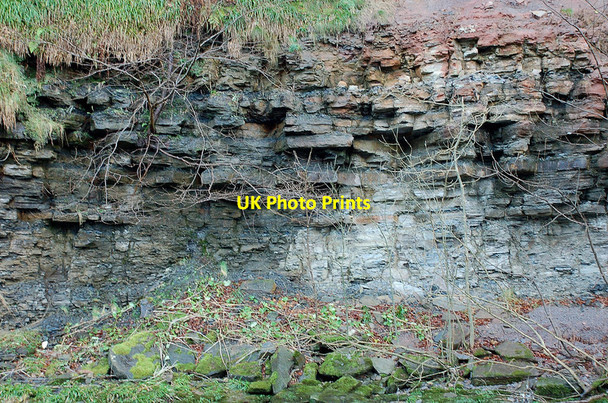 Photo 6"x4" Carboniferous rocks in closeup, Roslin Glen Auchendinny c2011