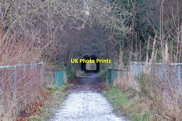 Photo 6"x4" Old railway tunnel west of Firth Viaduct Penicuik c2011