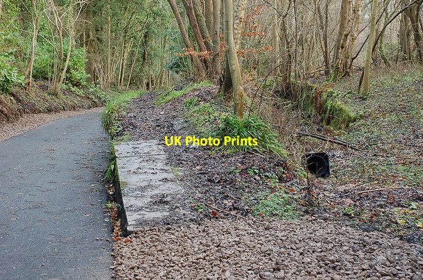 Photo 6"x4" Site of former Auchendinny Station Penicuik c2011