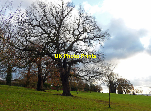 Photo 6"x4" Park, Norwood Grove (7) Streatham c2011