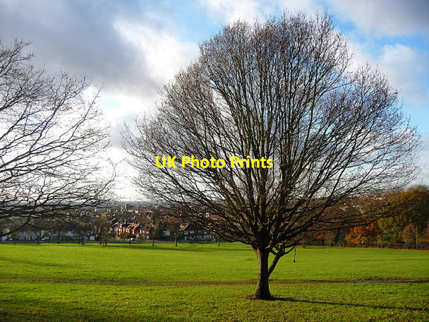 Photo 6"x4" Park, Norwood Grove (9) Streatham c2011
