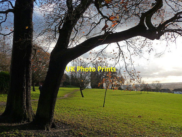 Photo 6"x4" Park, Norwood Grove (10) Streatham c2011