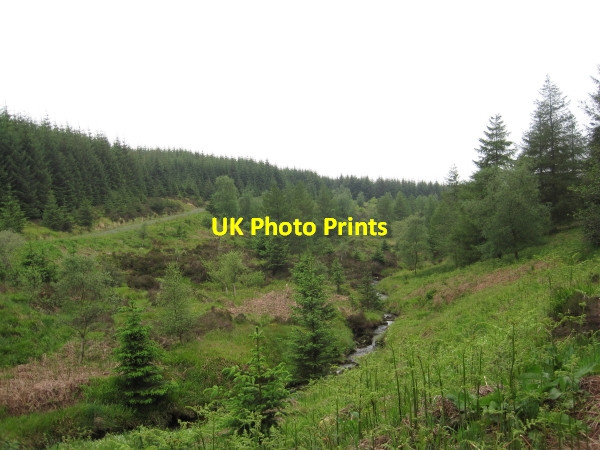 Photo 6"x4" Deadwater Burn Valley Deadwater Fell c2011