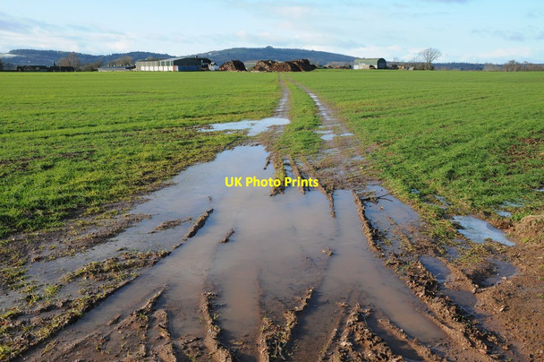 Photo 6"x4" Colliers End Farm Bulley c2011