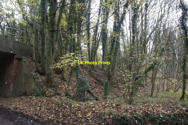 Photo 6"x4" Embankment towards Newbury Eling\/SU5275 c2011