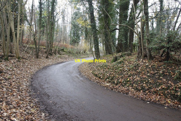 Photo 6"x4" Bend through the woods Eling\/SU5275 c2011