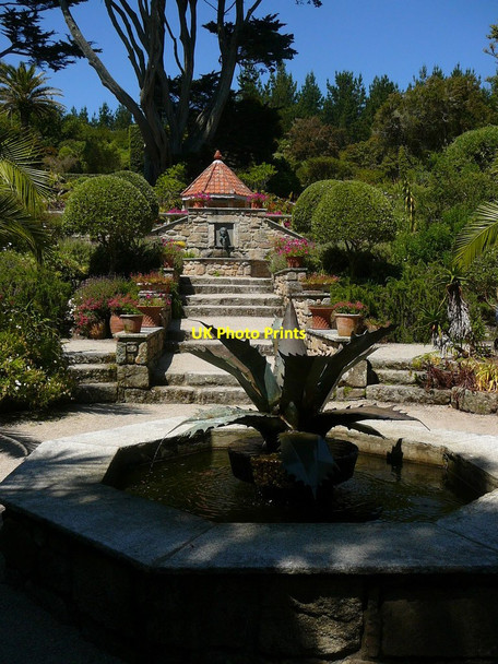 Photo 6"x4" Tresco, Abbey Gardens Borough\/SV8914 c2011