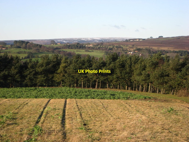 Photo 6"x4" Looking North from The Storth Fadmoor c2011