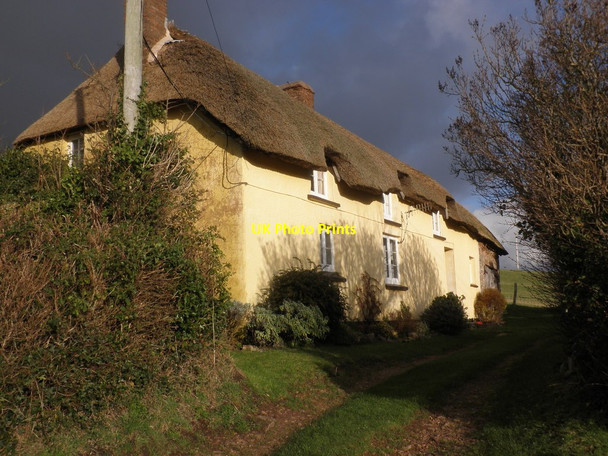 Photo 6"x4" East Lynch Cottage Blackford\/SS9245 c2011
