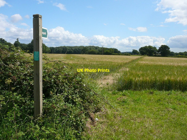 Photo 6"x4" Field path near Pott's Farm, Hadleigh Heath Hadleigh\/TM0242 c2011