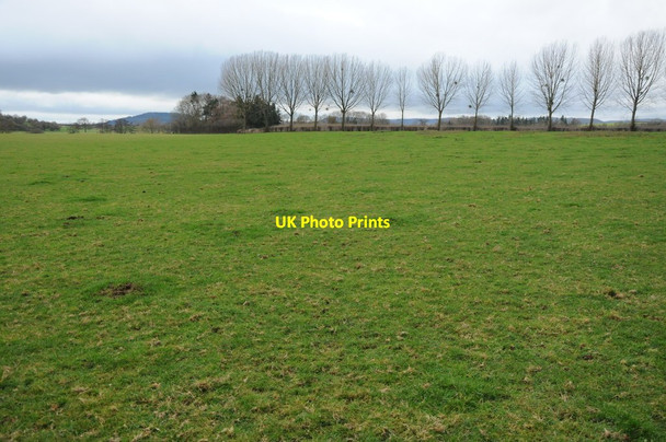 Photo 6"x4" Meadowland at Breinton Ruckhall c2011