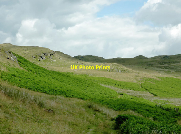 Photo 6"x4" Bridleway to Llyn Egnant, Ceredigion Bryn Eithinog\/SN7866 c2011