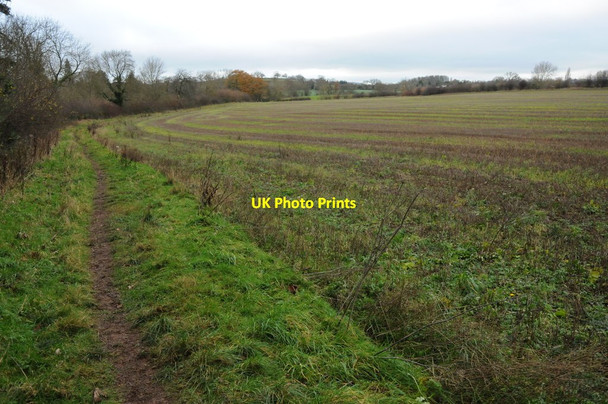 Photo 6"x4" Wye Valley Walk at Breinton Breinton Common c2011