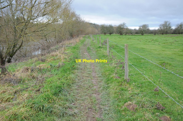 Photo 6"x4" Wye Valley Walk, Lower Breinton Lower Breinton c2011
