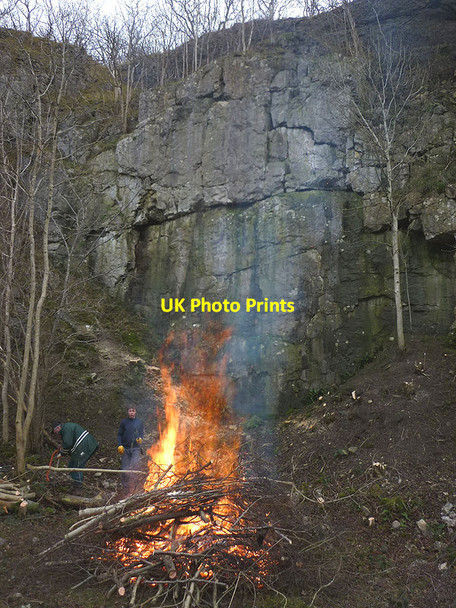 Photo 6"x4" Tree clearing at Trowbarrow Nature Reserve Red Bridge c2011