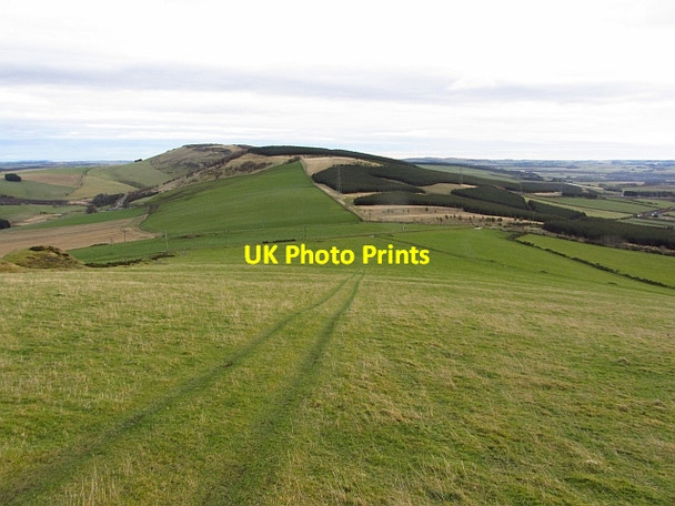 Photo 6"x4" Field on Hill of Foudland Colpy c2011