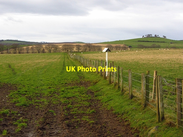 Photo 6"x4" Barbed wire fence Colpy c2011