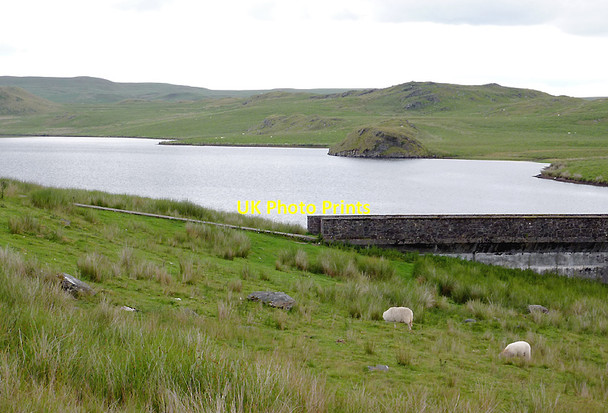 Photo 6"x4" Llyn Egnant, Ceredigion Bryn Llyn Egnant c2011