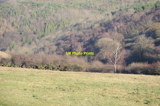 Photo 6"x4" Breakheart Plantation Postlip c2011