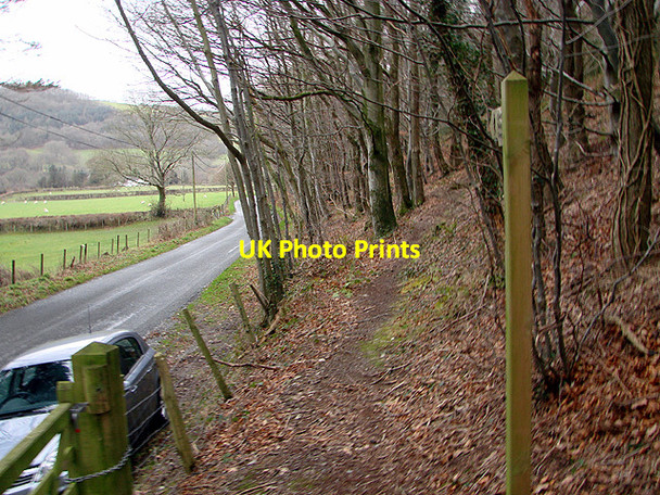 Photo 6"x4" Entrance to Pant Da Wood, beside the lane in Cwm Rheidol Nantyronen Station c2011