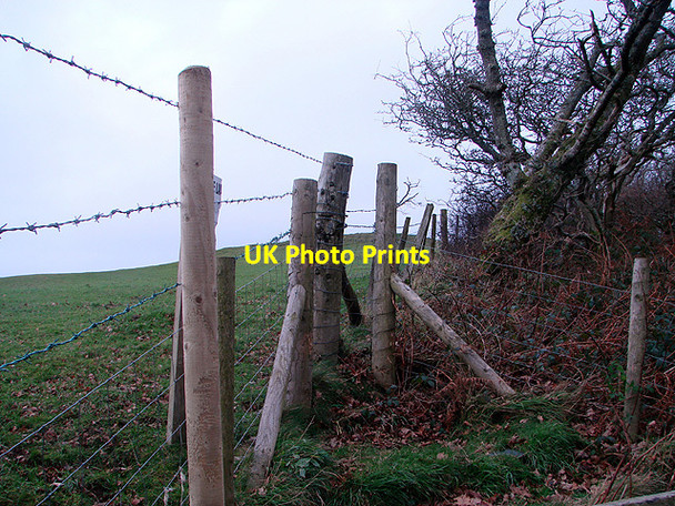 Photo 6"x4" The upper extent of the public access in Pant Da Wood Nantyronen Station c2011