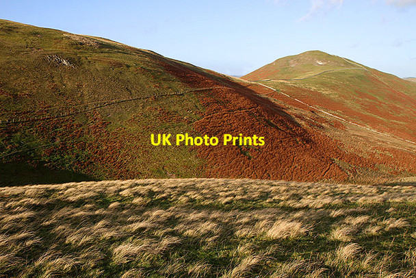 Photo 6"x4" Rough grazing on Shoulder Hill Mowhaugh c2011