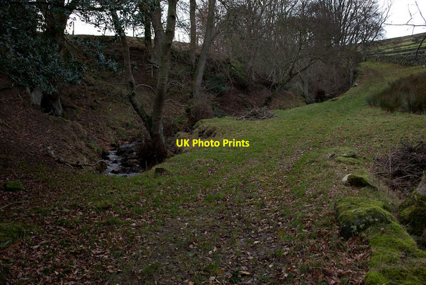 Photo 6"x4" Hardhill Gill Street\/NZ7304 c2011