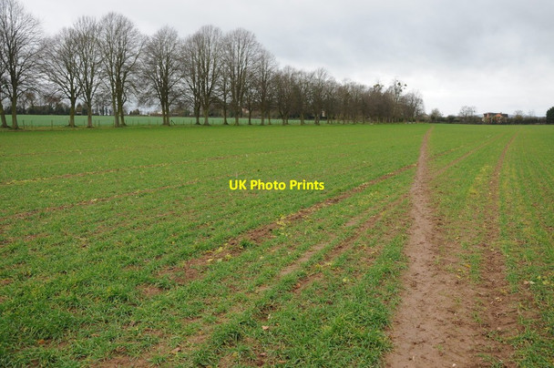 Photo 6"x4" Footpath at Earl's Croome Earl's Croome c2011