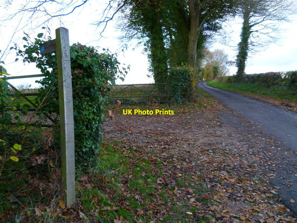 Photo 6"x4" Locksash Lane West Marden c2011