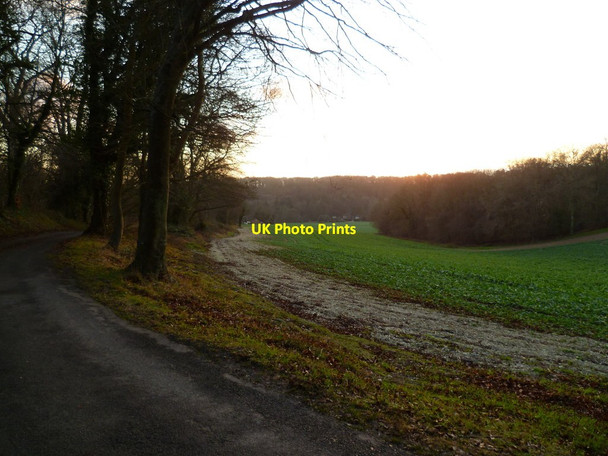 Photo 6"x4" Looking south towards Watergate Farm from Locksash Lane West Marden c2011
