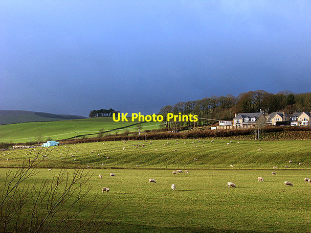 Photo 6"x4" Farmland at Stow Stagehall c2011