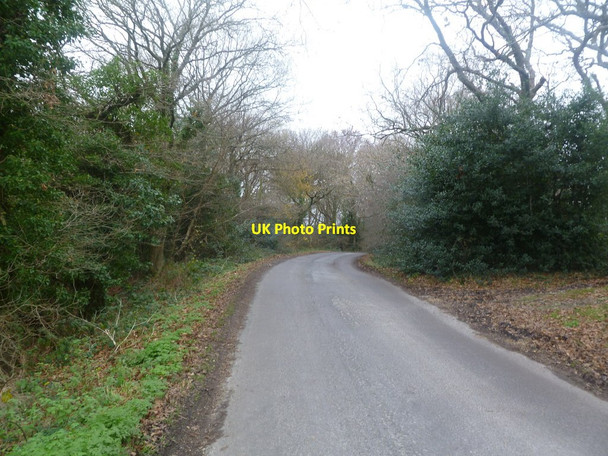 Photo 6"x4" Upper Pennington, Upper Common Road Bowling Green\/SZ2996 c2011