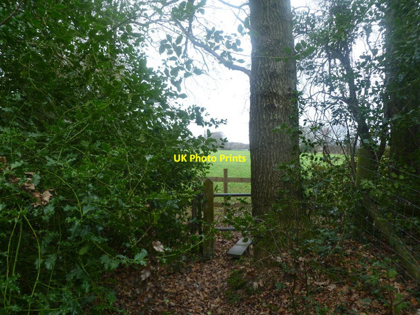 Photo 6"x4" Arnewood, stile Hordle c2011