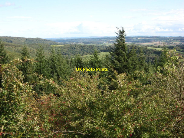 Photo 6"x4" View from the top of Hood Hill High Kilburn c2011