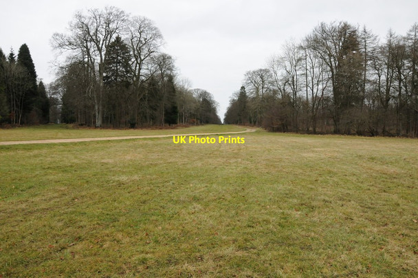 Photo 6"x4" Cirencester Park Daneway c2011