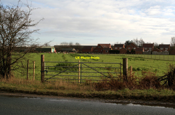 Photo 6"x4" Houses on Tranmore Lane Eggborough c2011