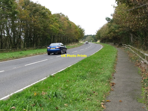Photo 6"x4" View northwards along the Ardglass Road Ardglass c2011