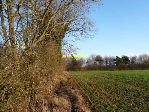 Photo 6"x4" Edge of large field, south of Apethorpe Road Nassington c2011
