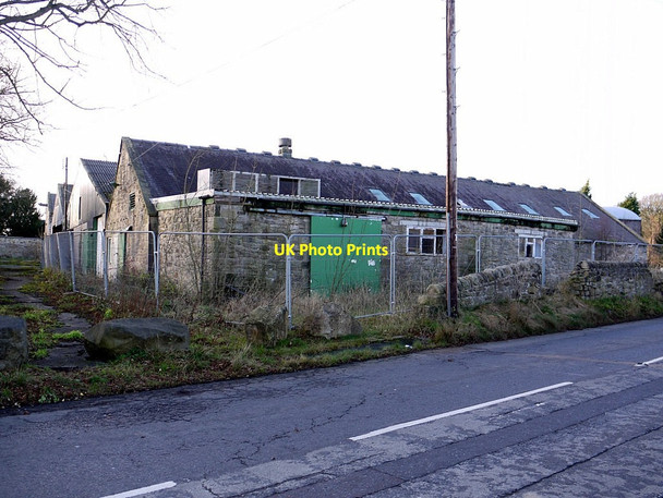 Photo 6"x4" Wylam Hills Farm Prudhoe c2011