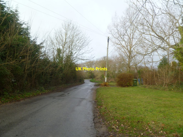 Photo 6"x4" Lymore Lane Everton\/SZ2994 c2011