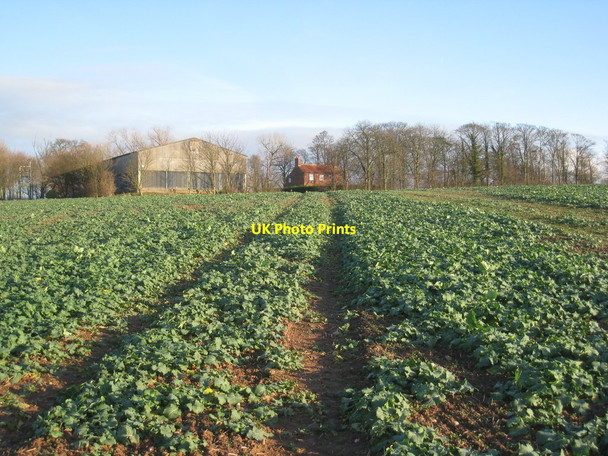 Photo 6"x4" Topley Farm Gringley on the Hill c2011