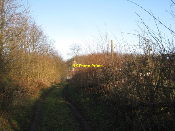 Photo 6"x4" Bridleway at Newlands Clayworth c2011