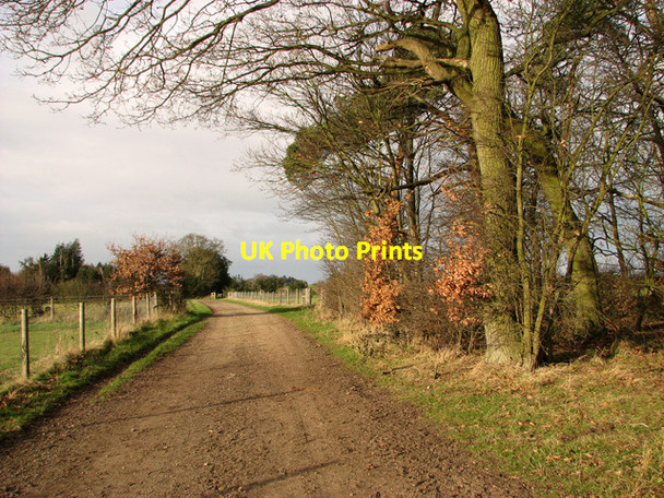 Photo 6"x4" Footpath past King's Wood, Holton St Mary Holton St Mary c2011