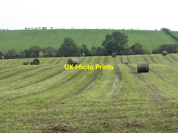 Photo 6"x4" Silage bales Twechar c2011