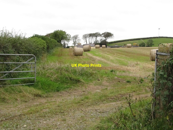 Photo 6"x4" Straw bales in the field at the junction of Grange Road and Ballyclander Road Killough c2011